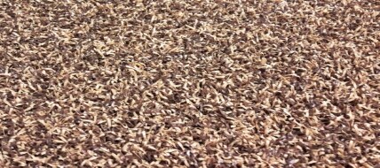 Brash colore Beige