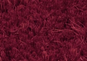 Cocco naturale colore Bordeaux