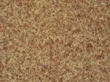 Cocco sintetico colore 338