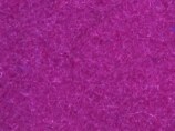 Cocco sintetico colore 350