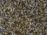 Cocco sintetico colore 562