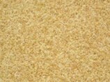 Cocco sintetico colore 575